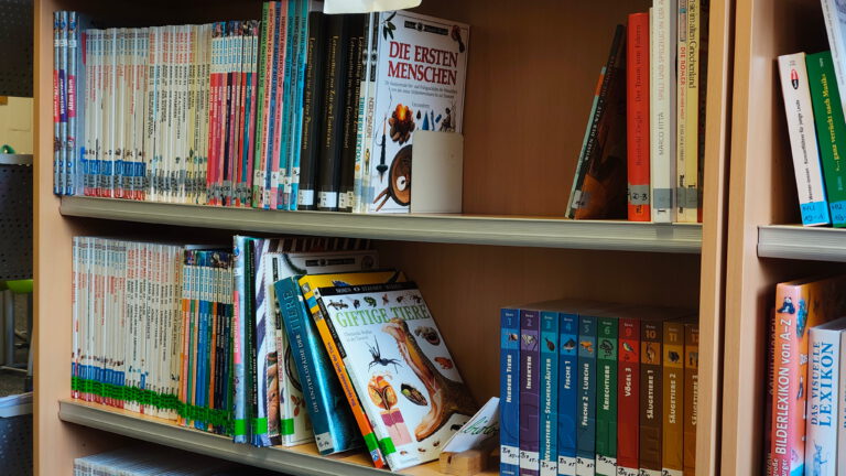 IMG_20260320_163523516